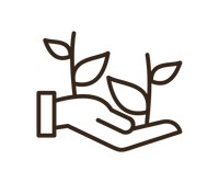 Superior bioavailability