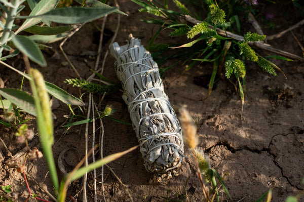 Sage bundle on the ground surrounded by greenery